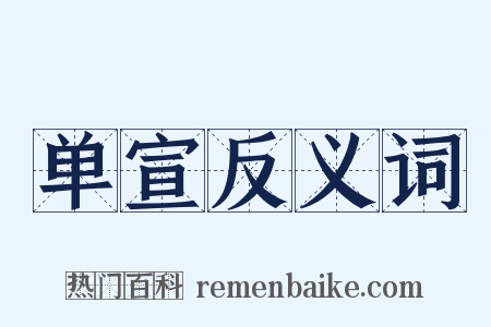 单宣反义词是什么意思的图片